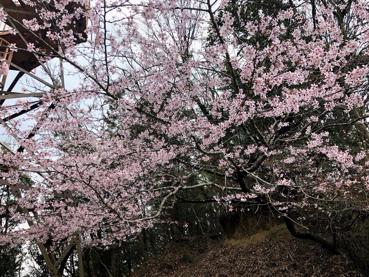 大福山