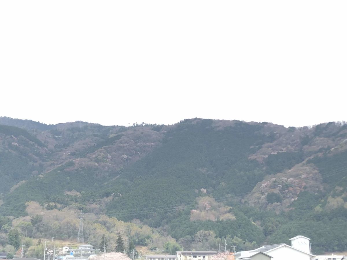 f:id:haachang:20190416160056j:plain f:id:haachang:20190416160056j:plain