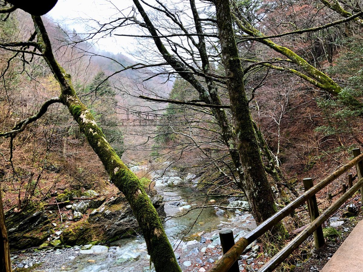 奥祖谷二重かずら橋
