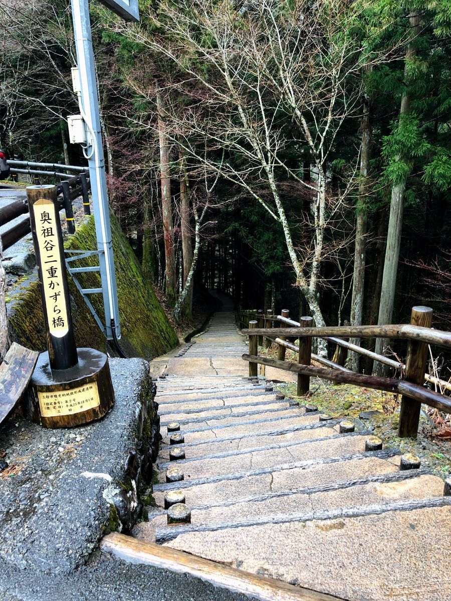 奥祖谷二重かずら橋