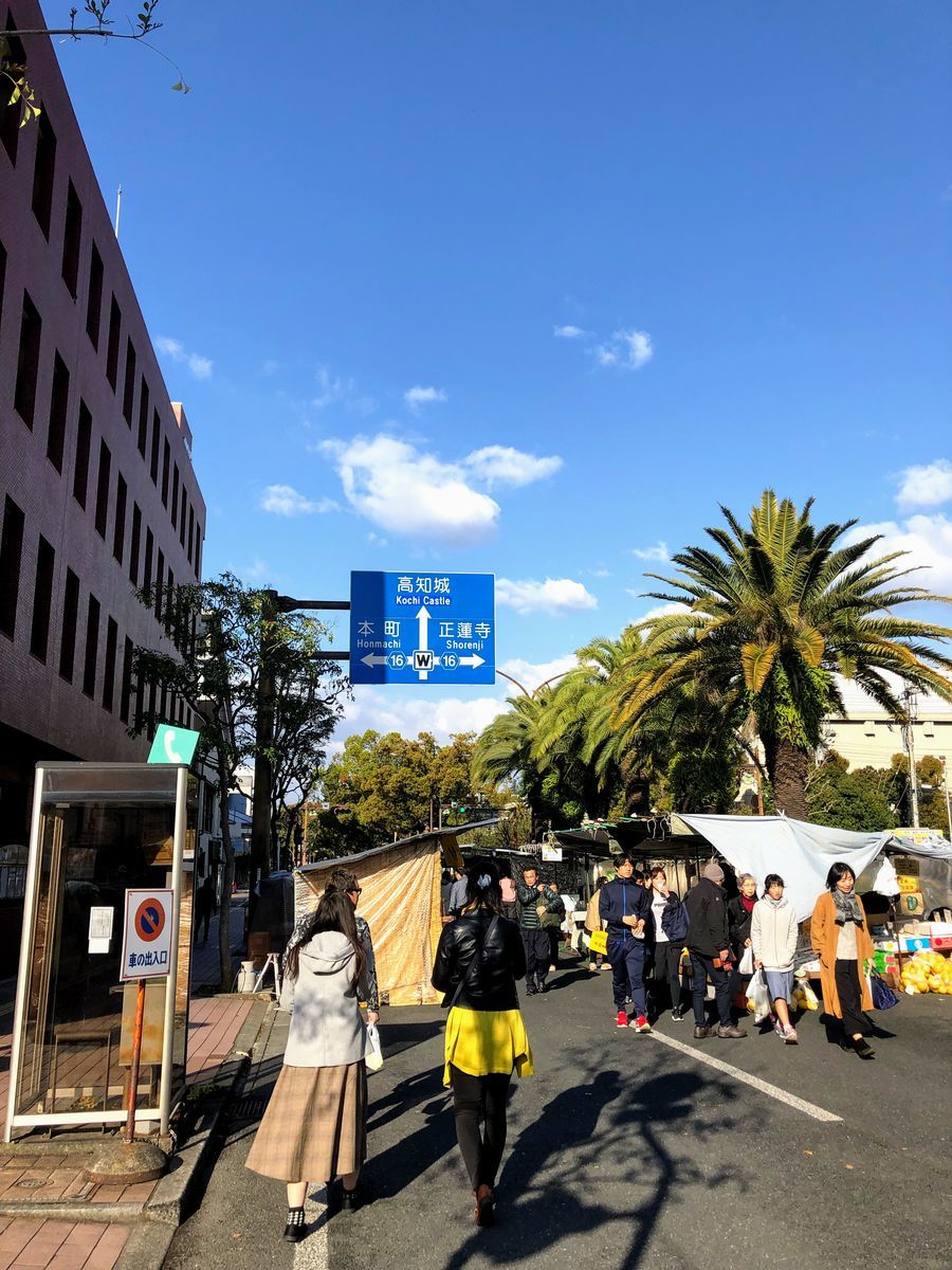 高知 朝市