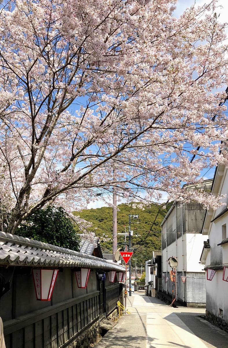 佐川町