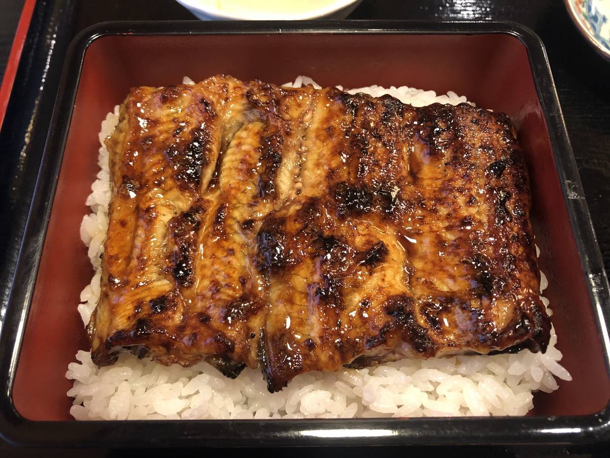 濱丑のうな重