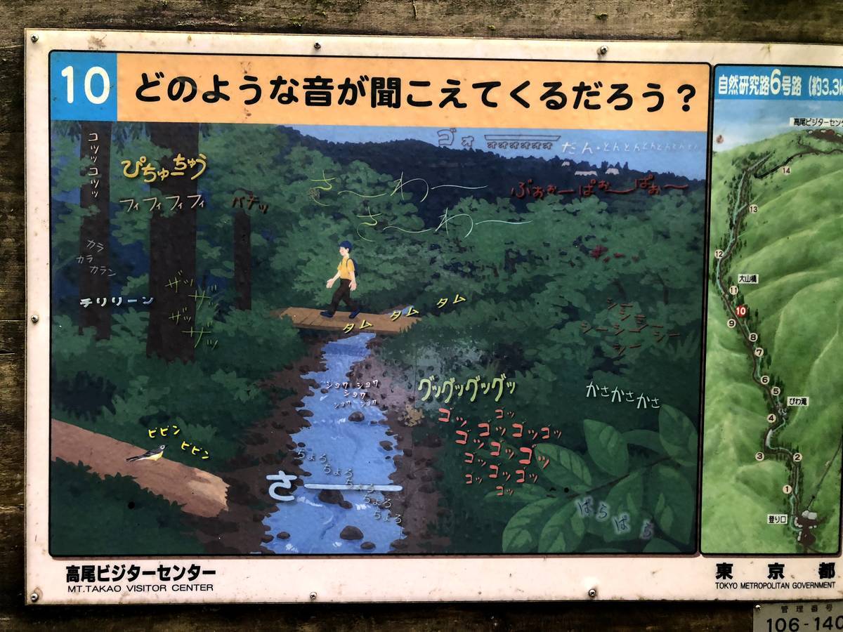 高尾山