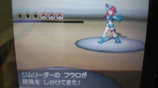 ブラック 第8回 Vsフウロ ポケモンが進化してパーティーが強くなりました Haradaのポケモンブログ