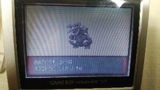 f:id:haakriancohbaun:20191115093820j:image f:id:haakriancohbaun:20191115093820j:image