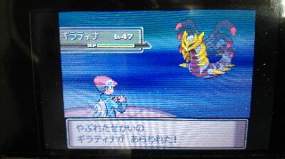 プラチナ 第14回 ギラティナ捕獲 やぶれた世界に住む伝説のポケモン Haradaのポケモンブログ
