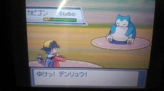 ハートゴールド 第17回 スイクン捕獲 スイクンを追いかけ続けてついにゲット Haradaのポケモンブログ