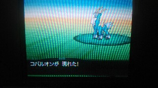 チャレンジモード 第11回 コバルオン捕獲 ビレッジブリッジまできました Haradaのポケモンブログ