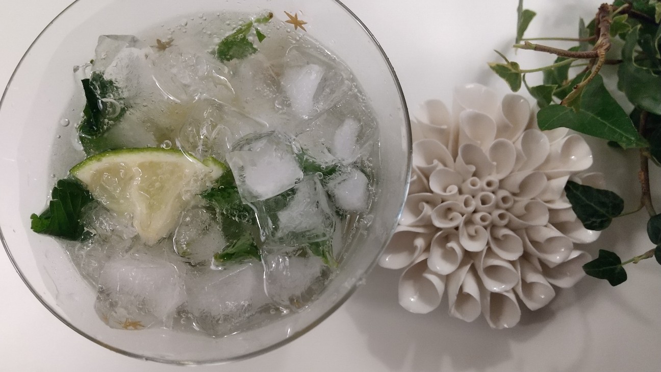 f:id:habbule-no-neko:20200517201649j:image