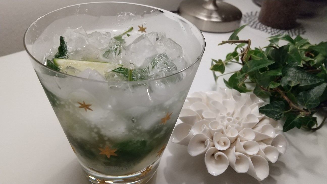 f:id:habbule-no-neko:20200517201658j:image