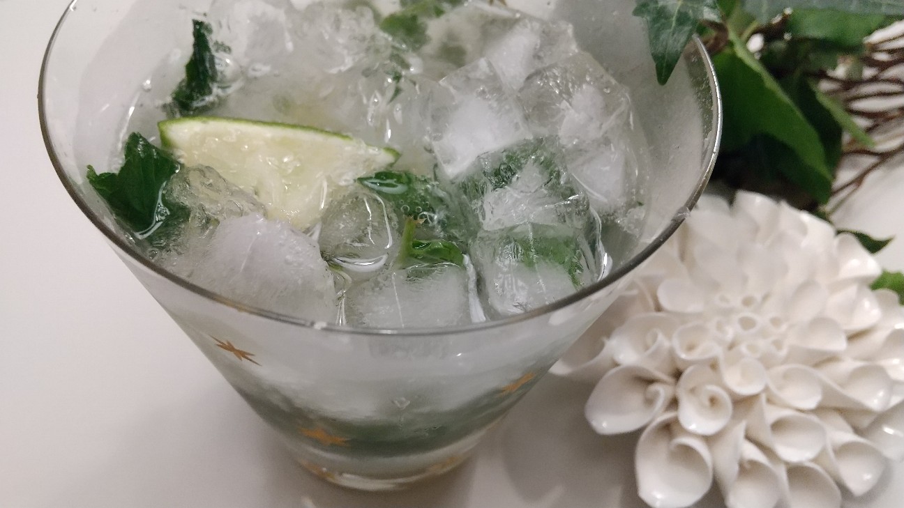 f:id:habbule-no-neko:20200517201717j:image