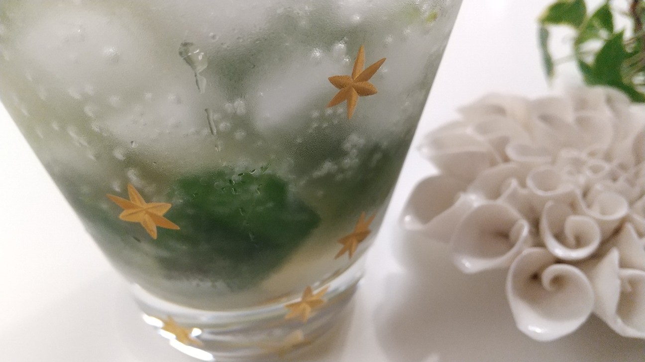 f:id:habbule-no-neko:20200517215808j:image