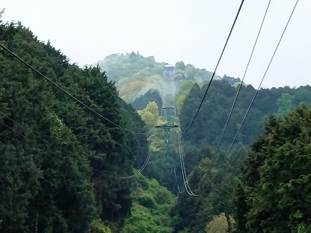 f:id:habbule-no-neko:20230513204455j:image