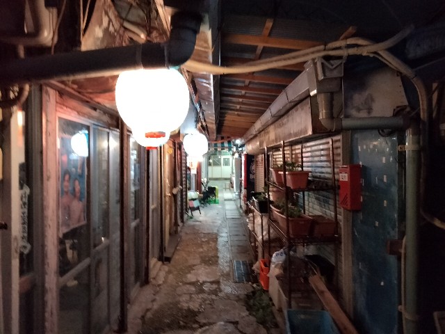 f:id:habbule-no-neko:20230926221142j:image