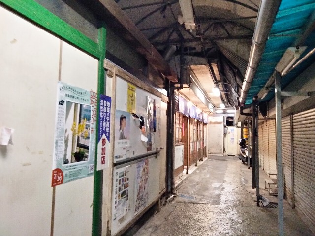 f:id:habbule-no-neko:20230926221237j:image