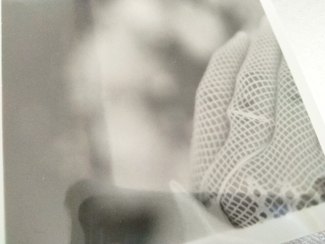 f:id:habbule-no-neko:20231114130433j:image f:id:habbule-no-neko:20231114130433j:image