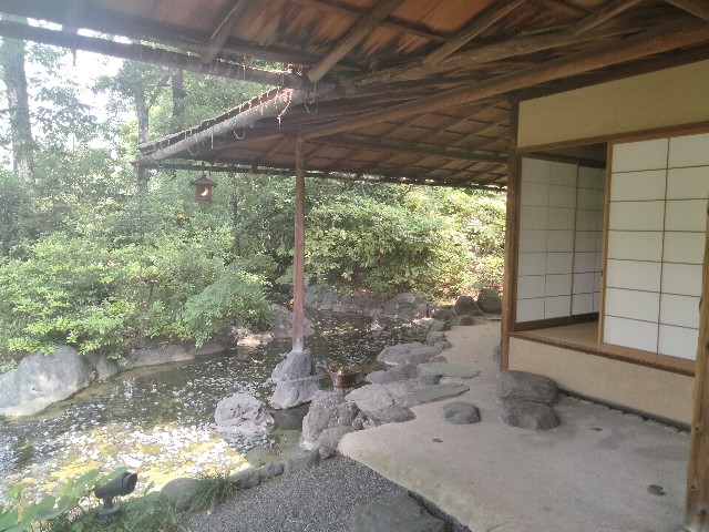 f:id:habbule-no-neko:20240524125910j:image