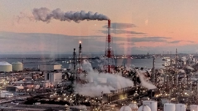 f:id:habbule-no-neko:20250303164428j:image