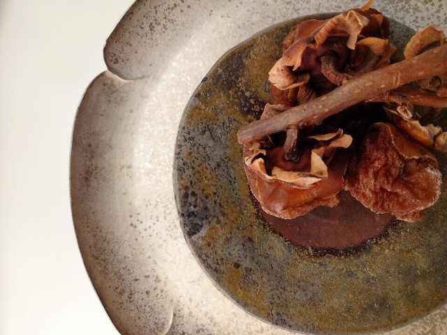 f:id:habbule-no-neko:20251107095741j:image