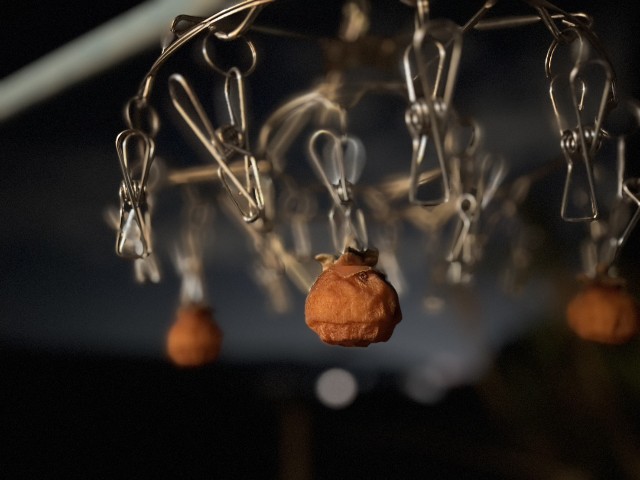 f:id:habbule-no-neko:20251108152000j:image