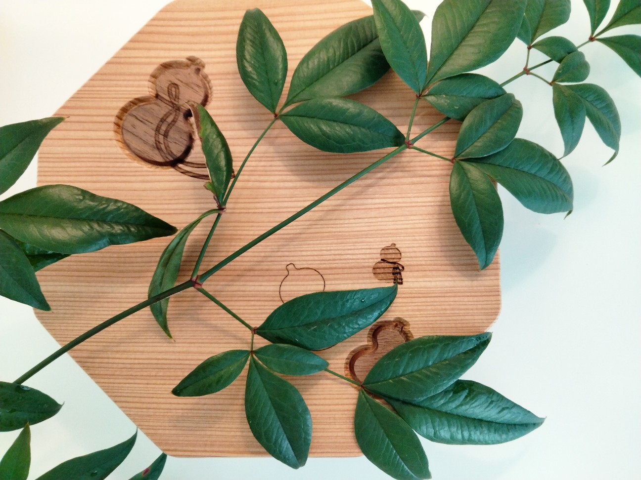 f:id:habbule-no-neko:20260103205630j:image f:id:habbule-no-neko:20260103205630j:image