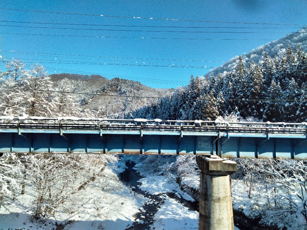 f:id:habbule-no-neko:20260208220912j:image