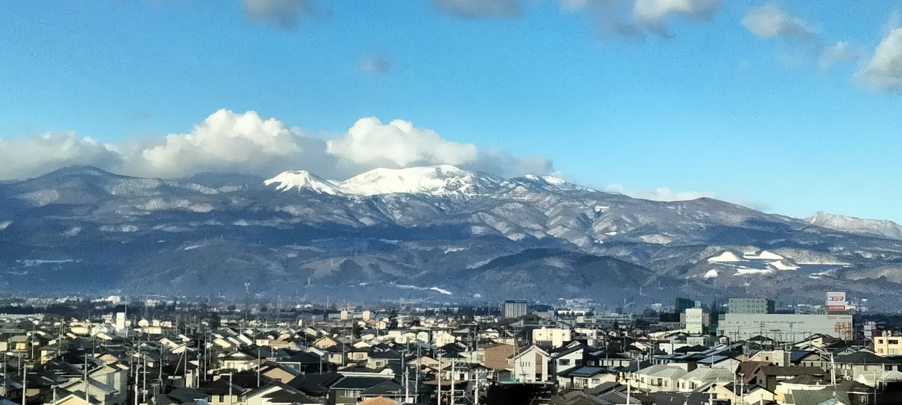 f:id:habbule-no-neko:20260220223126j:image
