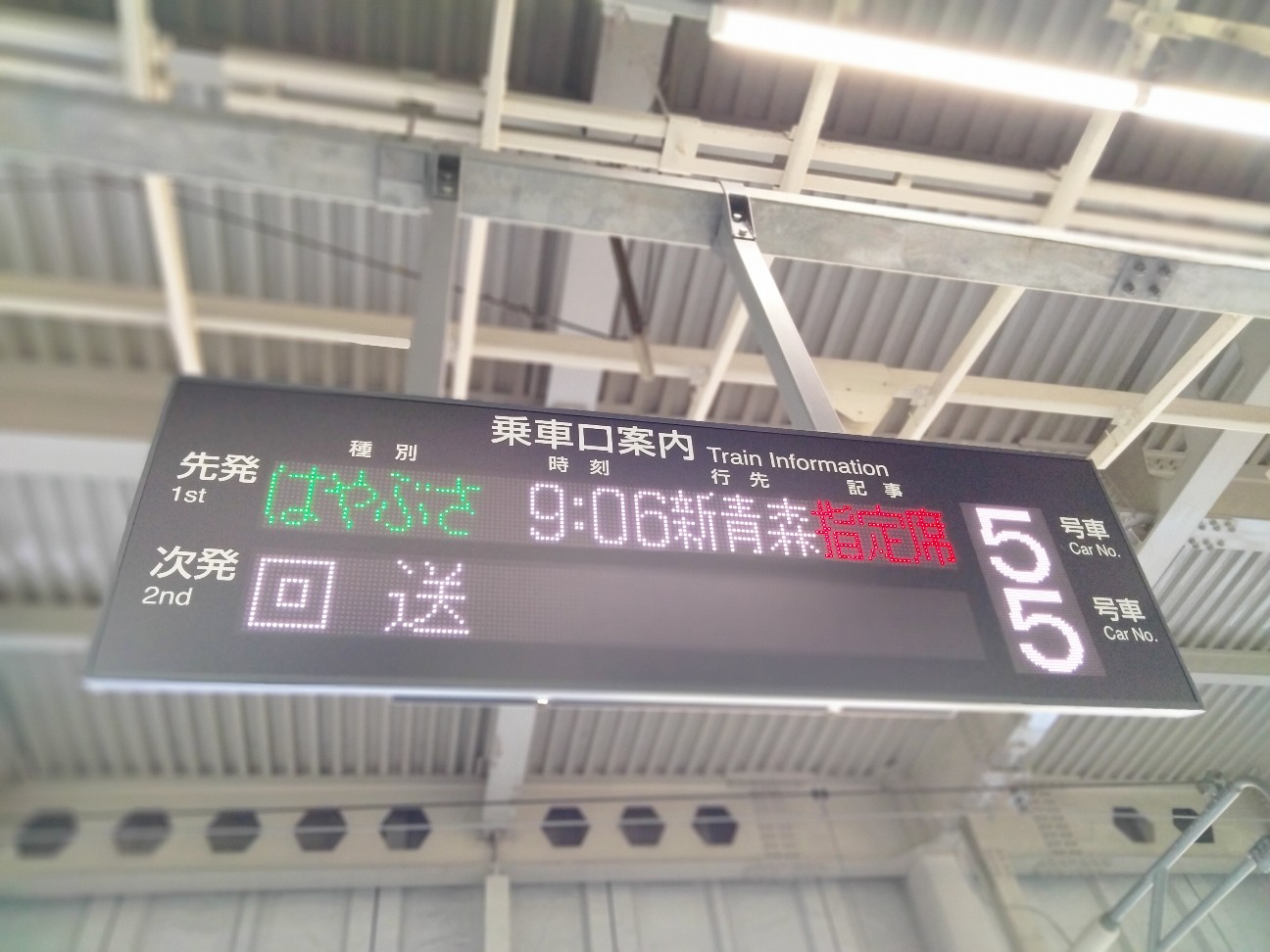 f:id:habbule-no-neko:20260220223137j:image