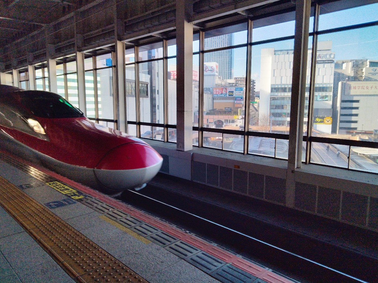 f:id:habbule-no-neko:20260220223138j:image
