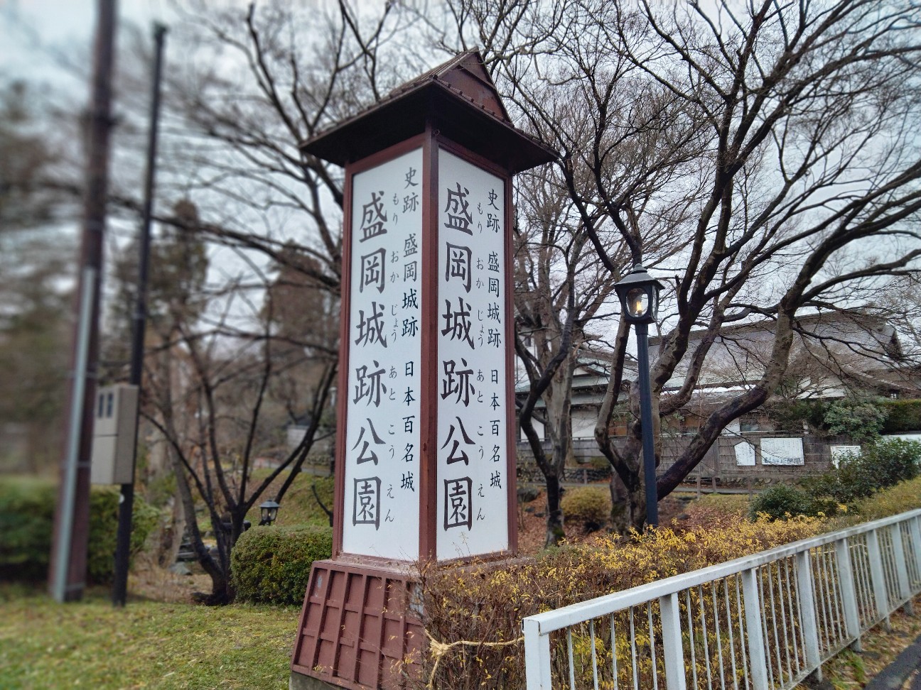 f:id:habbule-no-neko:20260220223234j:image