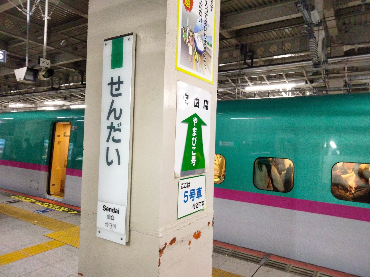 f:id:habbule-no-neko:20260220223532j:image