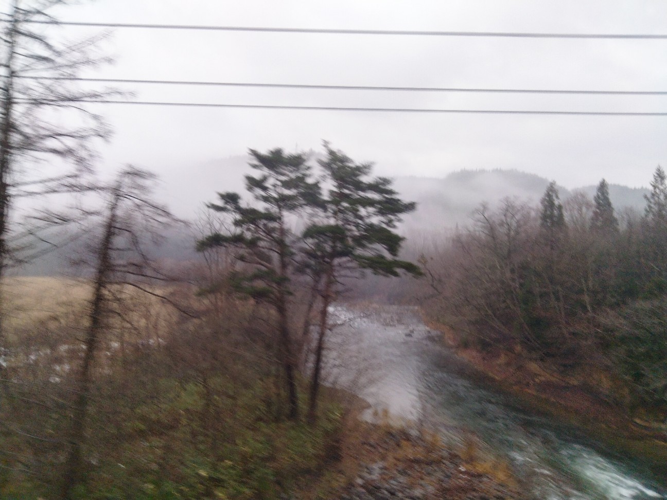 f:id:habbule-no-neko:20260308154428j:image