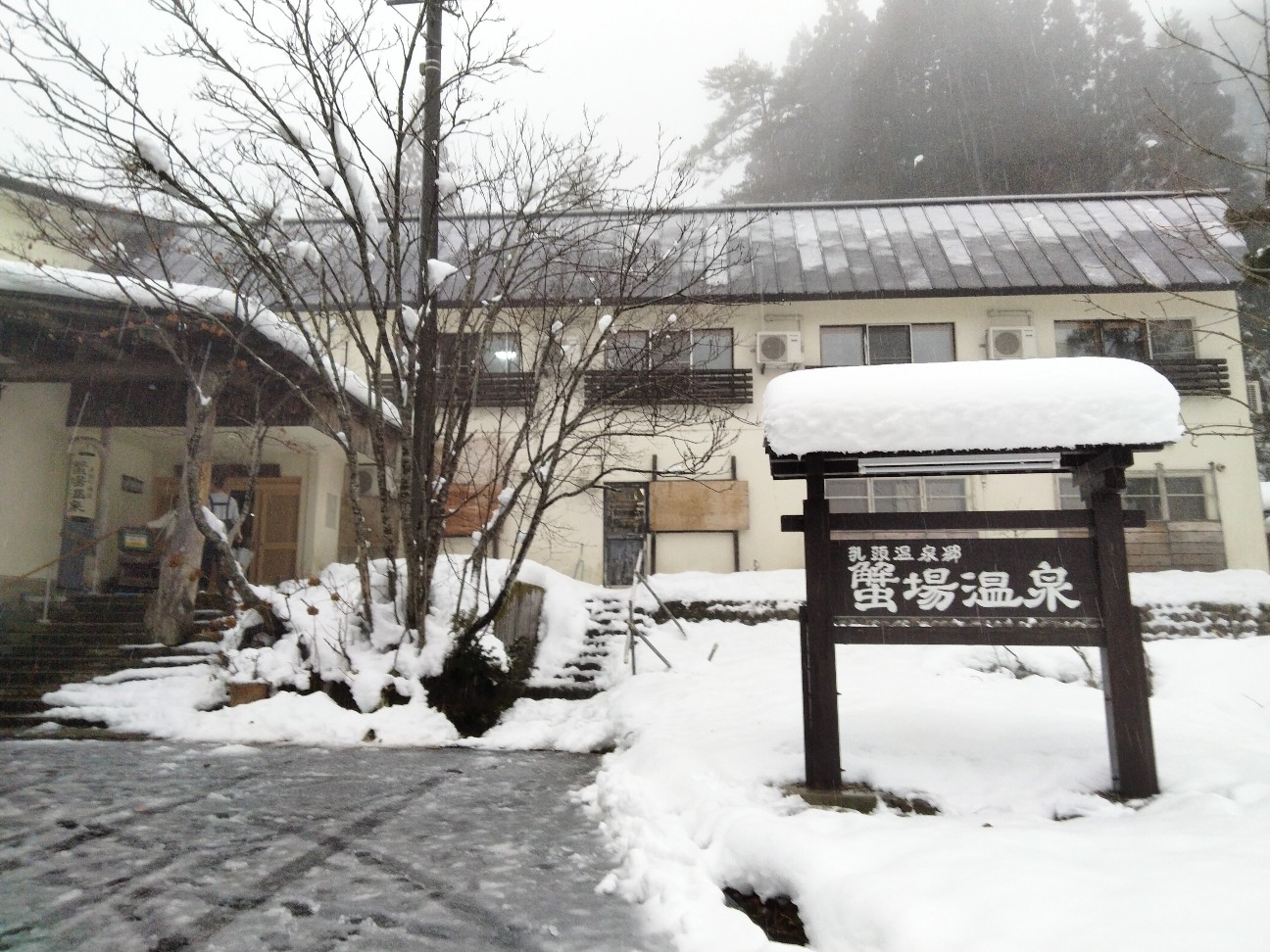 f:id:habbule-no-neko:20260308154453j:image