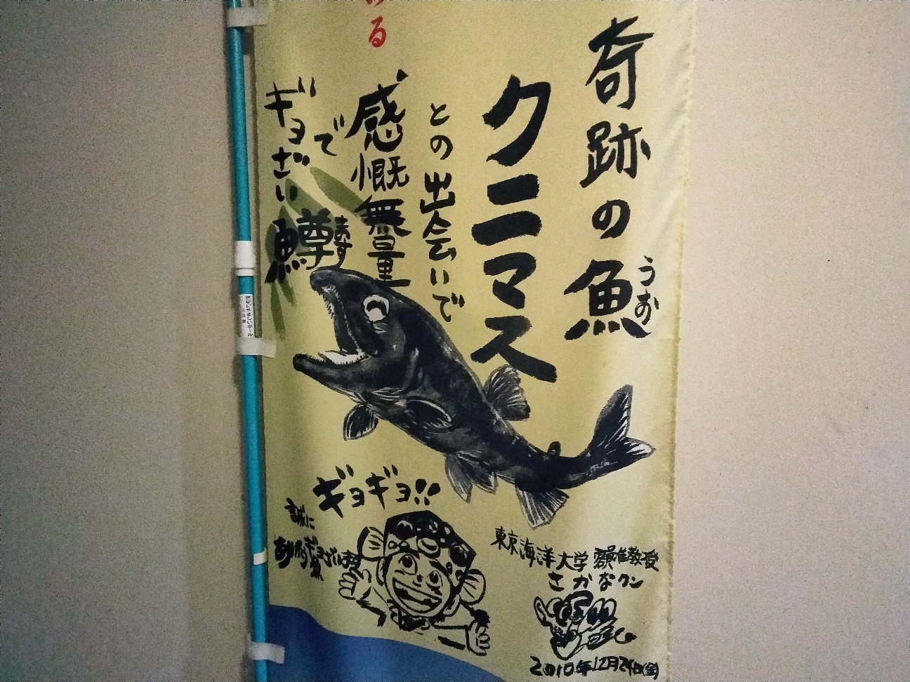 f:id:habbule-no-neko:20260308154503j:image