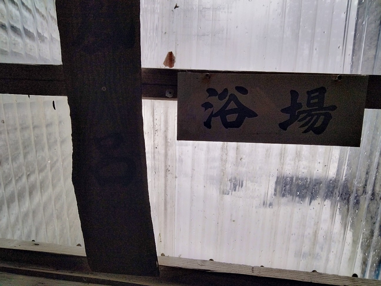 f:id:habbule-no-neko:20260308154521j:image