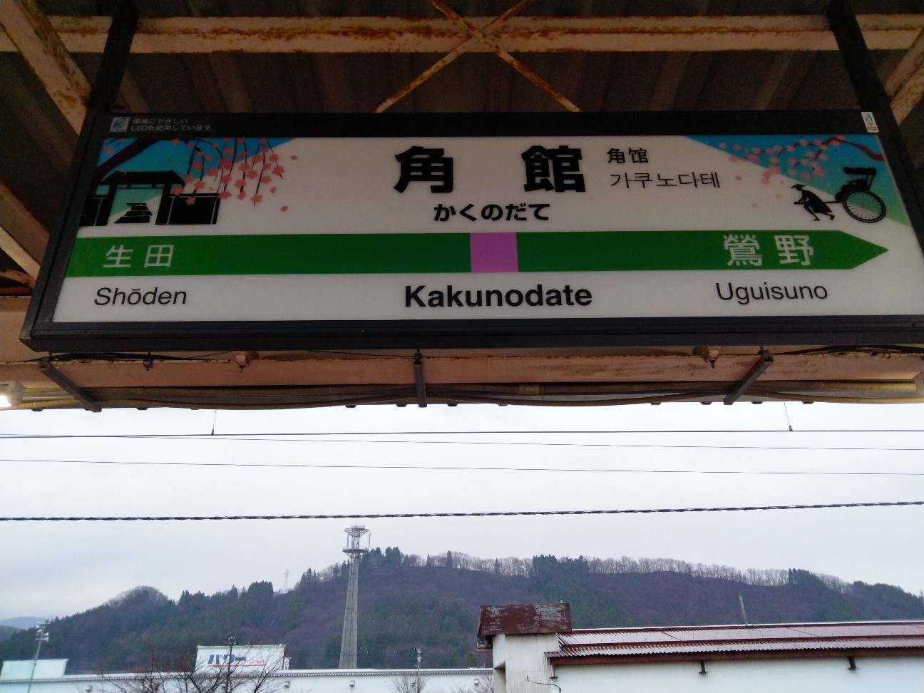f:id:habbule-no-neko:20260313125813j:image