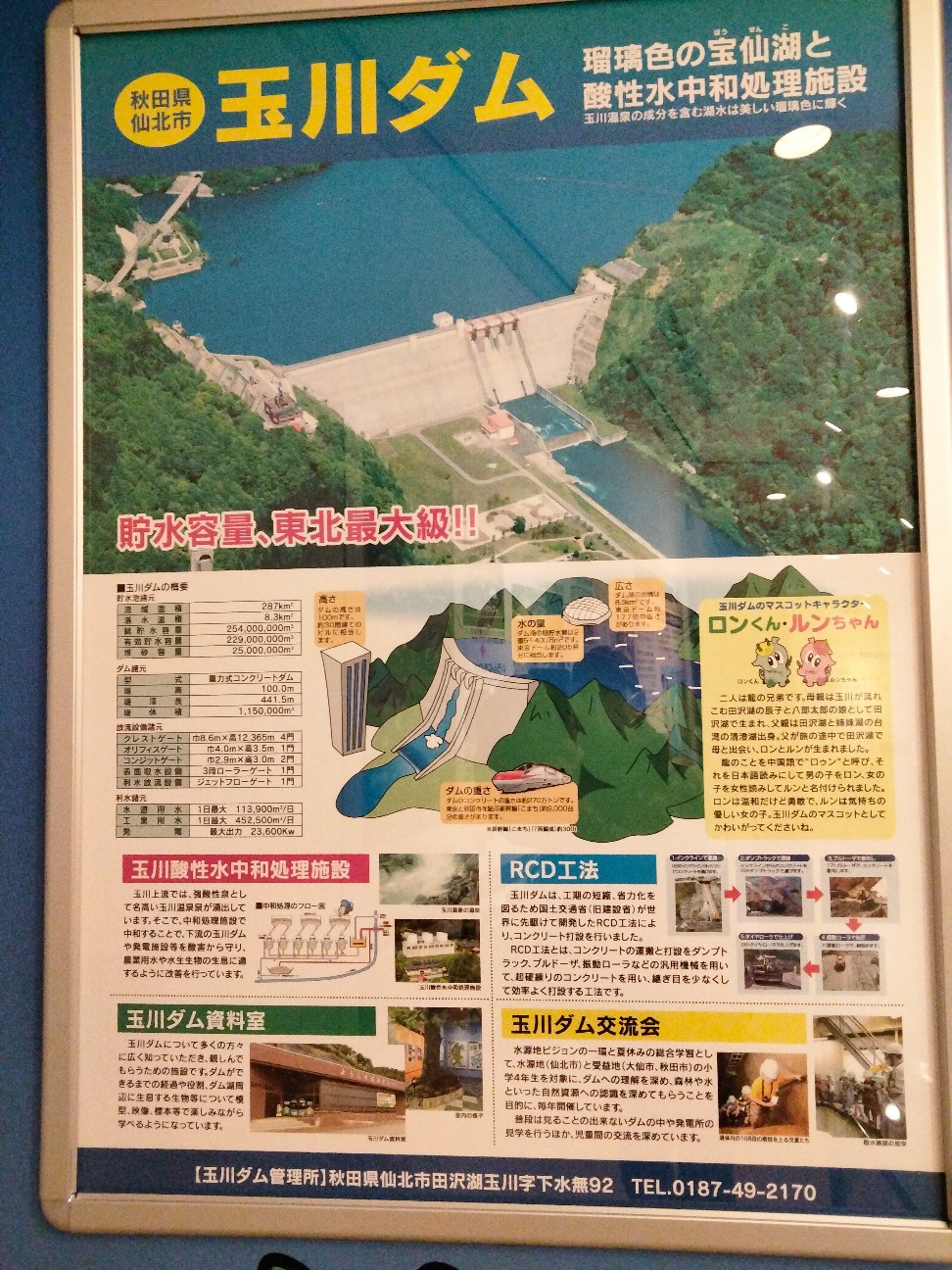 f:id:habbule-no-neko:20260319144254j:image