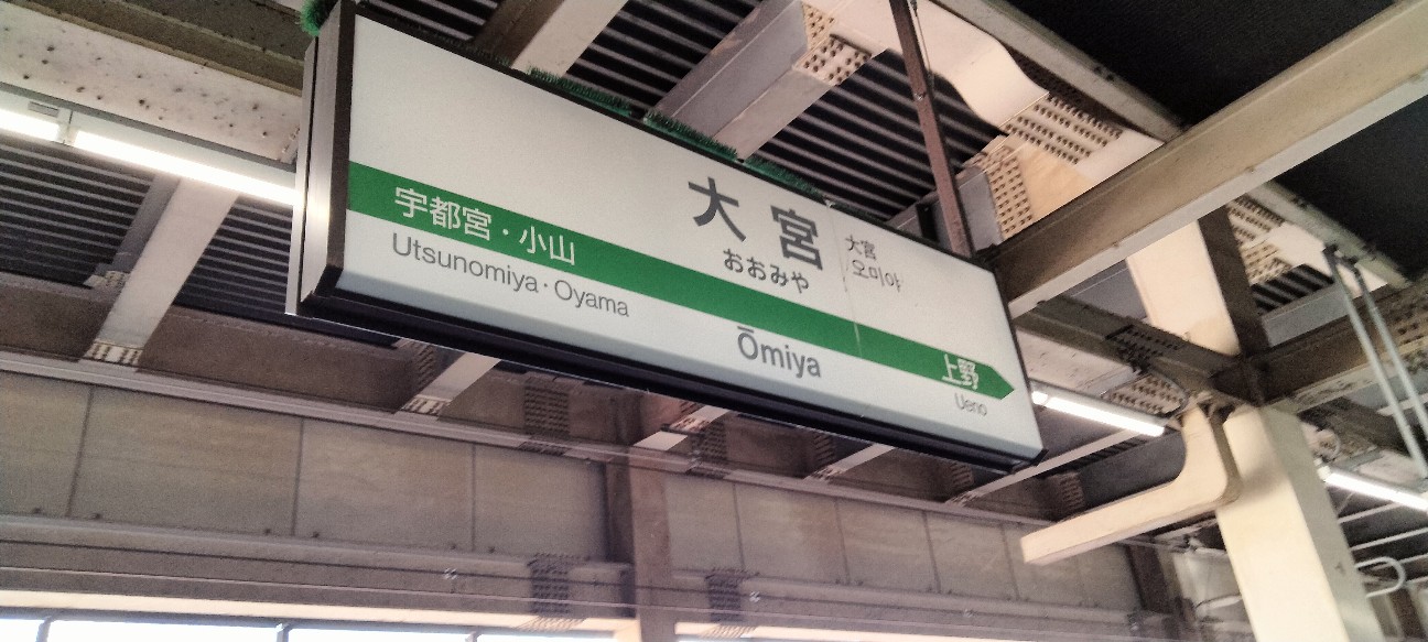 f:id:habbule-no-neko:20260324152915j:image
