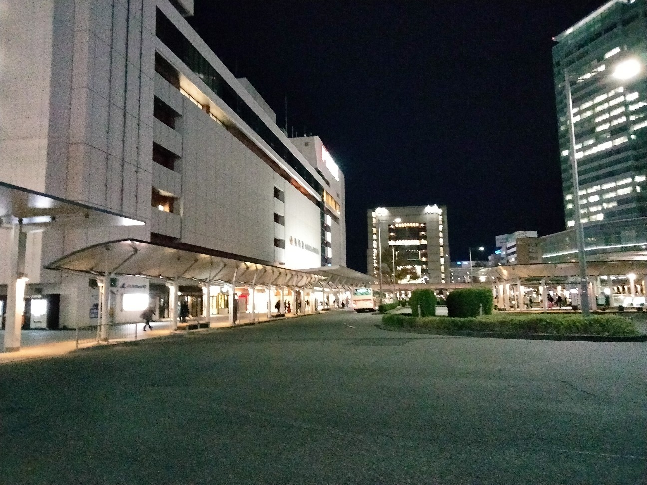 f:id:habbule-no-neko:20260324153737j:image
