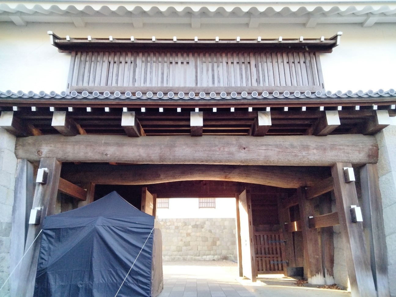 f:id:habbule-no-neko:20260401160217j:image