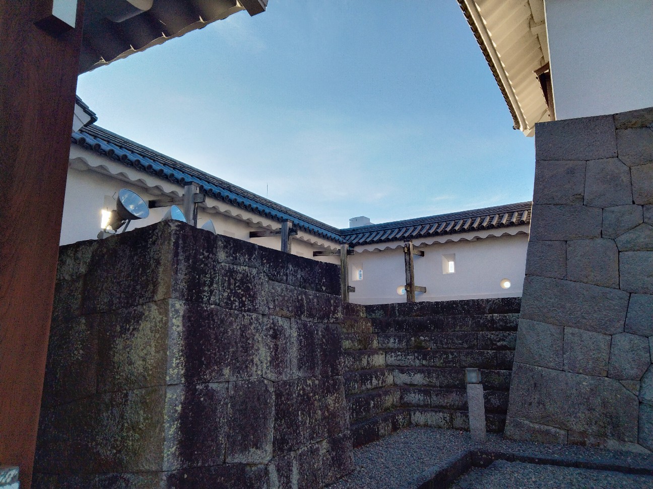 f:id:habbule-no-neko:20260401160224j:image