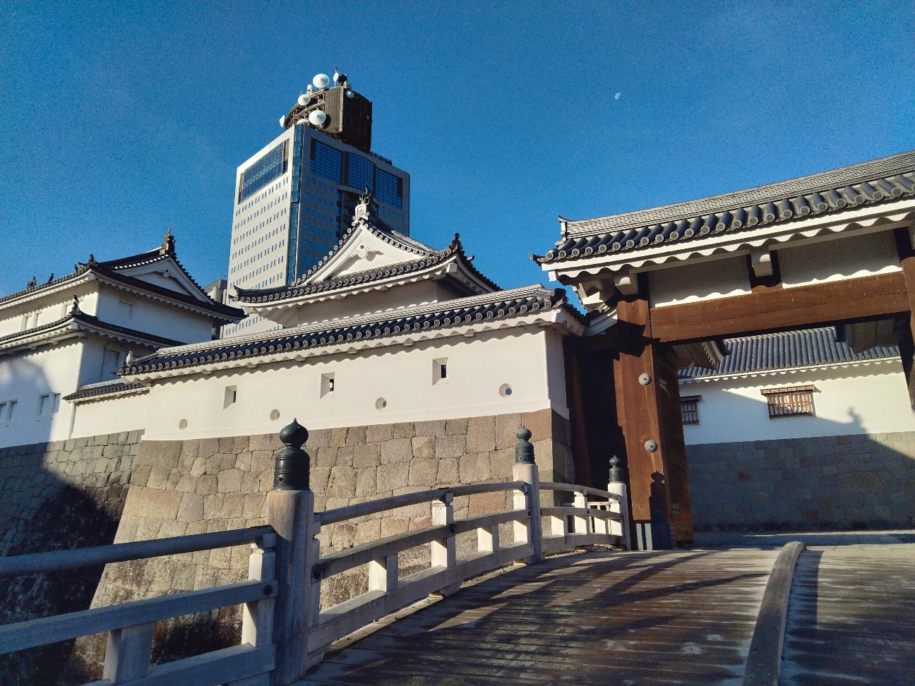 f:id:habbule-no-neko:20260401160228j:image