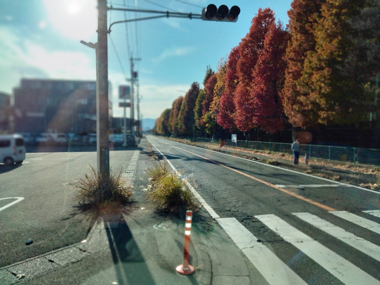 f:id:habbule-no-neko:20260419215235j:image
