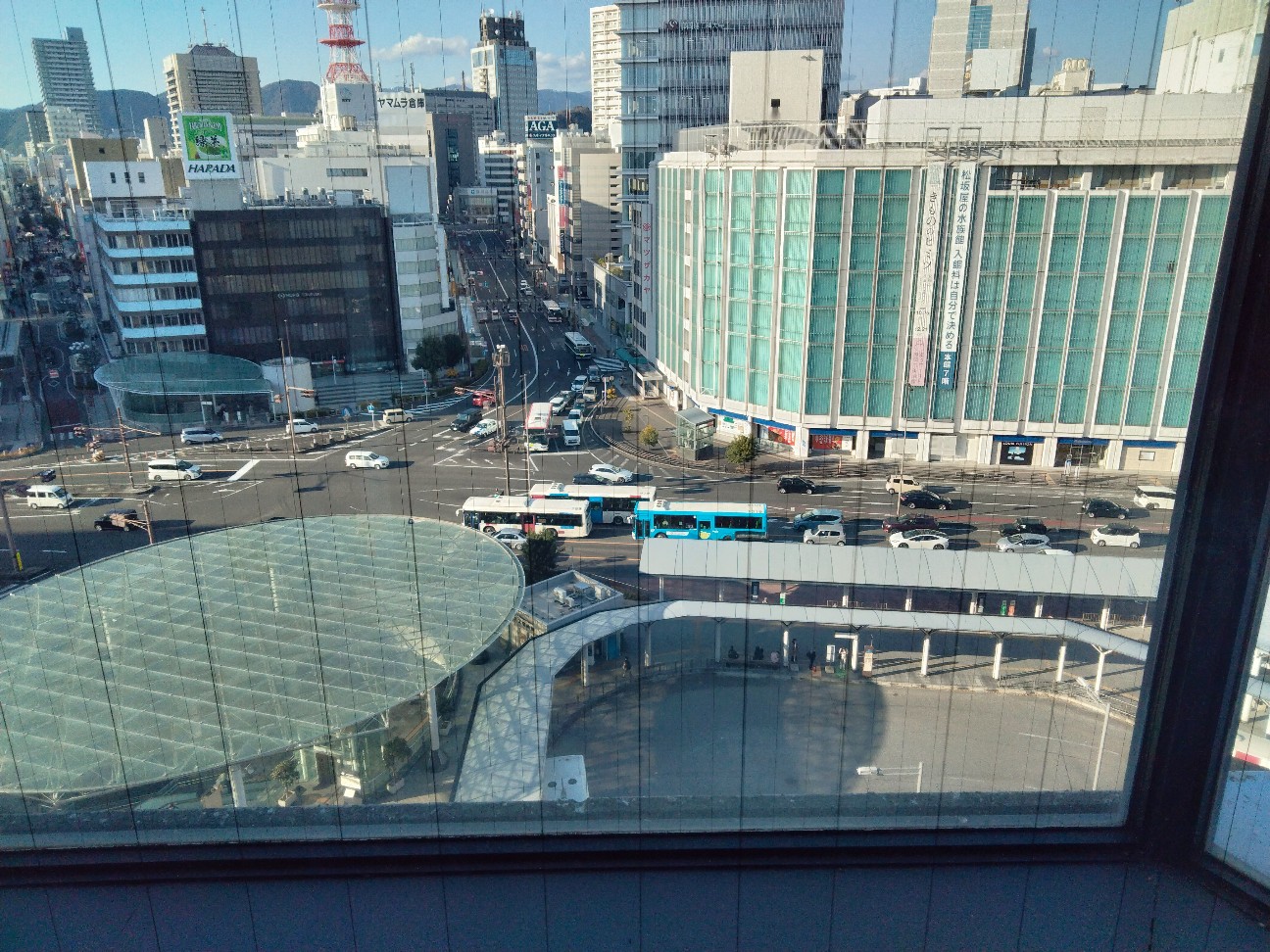 f:id:habbule-no-neko:20260419215237j:image