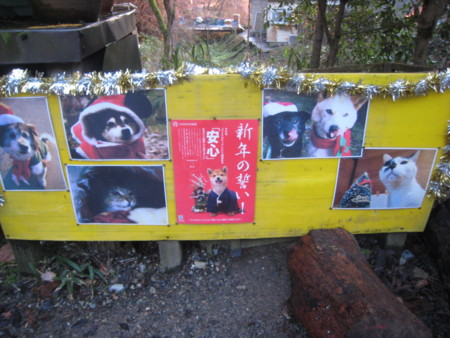 f:id:haberdashery:20091228164517j:image
