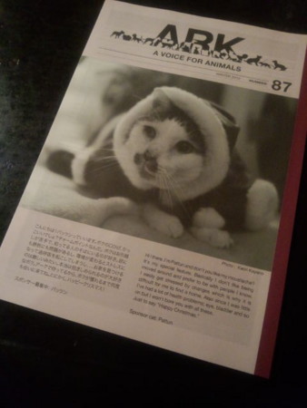 f:id:haberdashery:20121216135357j:image