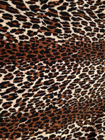 f:id:haberdashery:20131019143439j:image:h320 f:id:haberdashery:20131019143439j:image:h320