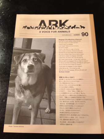f:id:haberdashery:20131116145304j:image:h320