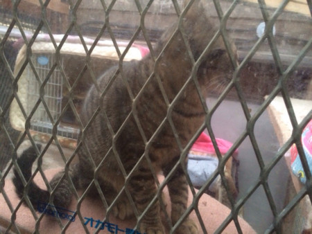 f:id:haberdashery:20141204184444j:image:w320 f:id:haberdashery:20141204184444j:image:w320